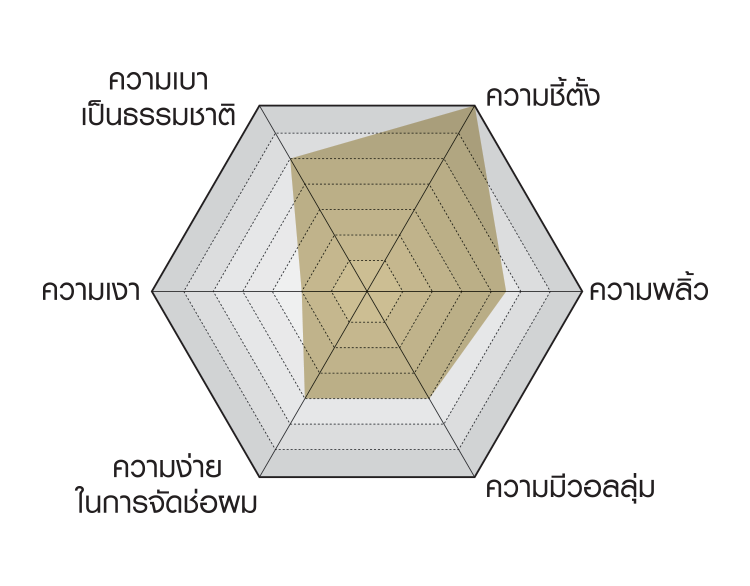 RADAR CHART